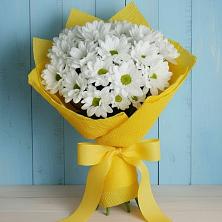 Букет цветов из:  Хризантемы в Жилёво