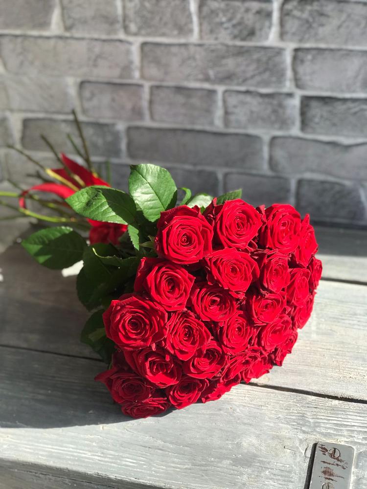 Букет Красные розы Фридом в Жилёво