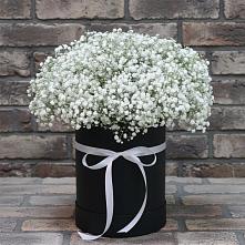 Цветочная композиция из Гипсофила в шляпной коробке #REPLACE_PRED# Жилёво