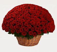 Премиум букет из: Розы в Жилёво