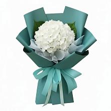 Букет цветов из:  Гортензия в Жилёво